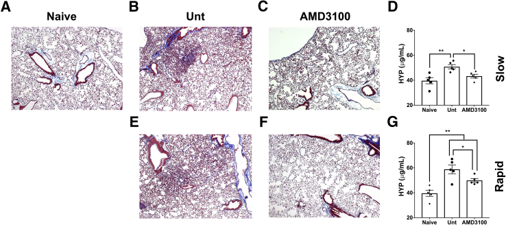 Figure 5