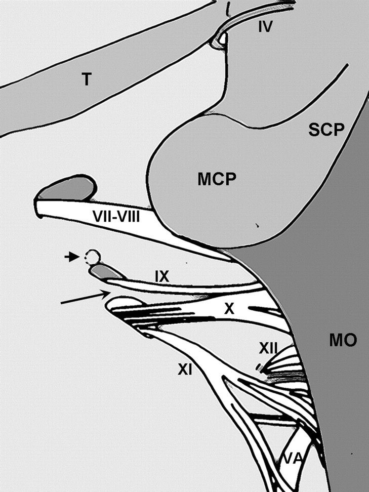 Fig 1.