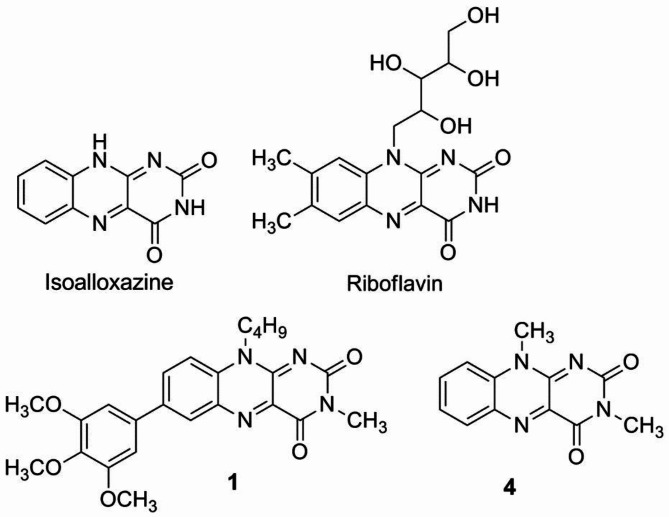 Fig. 1