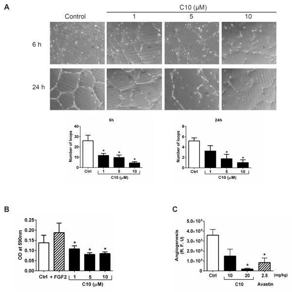 Figure 5