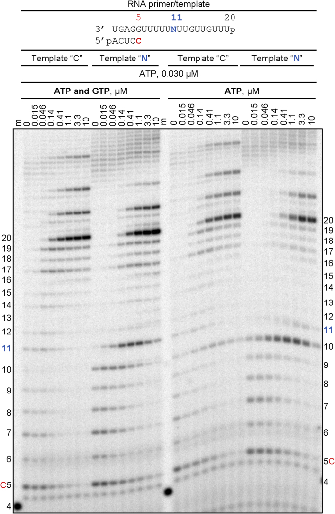 Figure 4