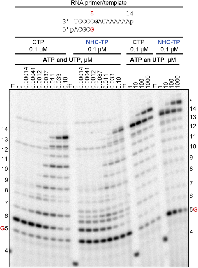 Figure 2