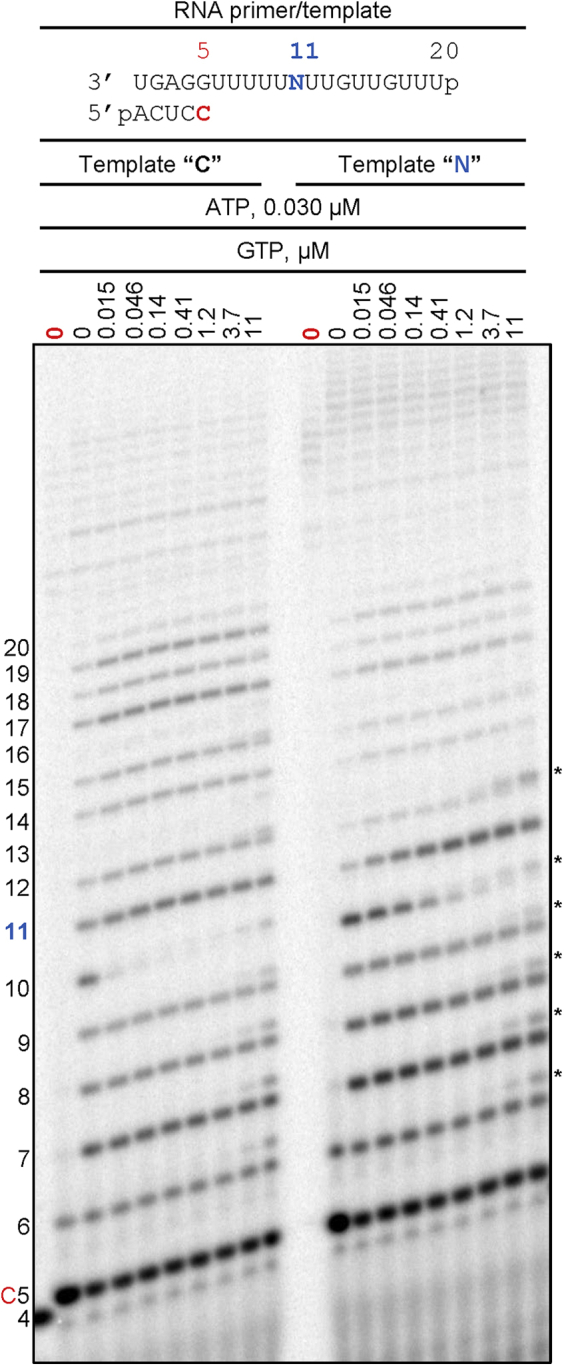 Figure 3