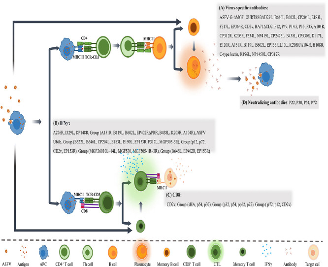 Image, graphical abstract