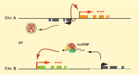 Fig. (3).