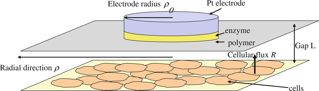 Fig. 5