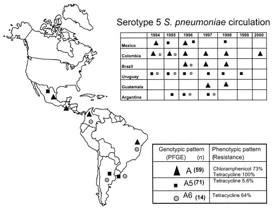 FIG. 2.