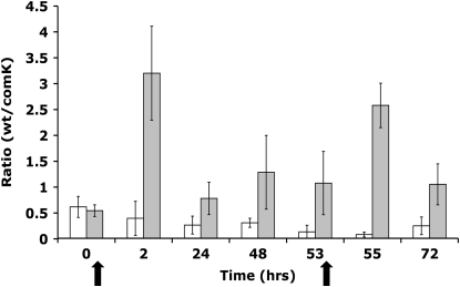 Figure 5.—