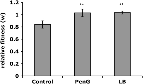 Figure 4.—