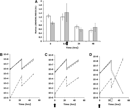 Figure 6.—