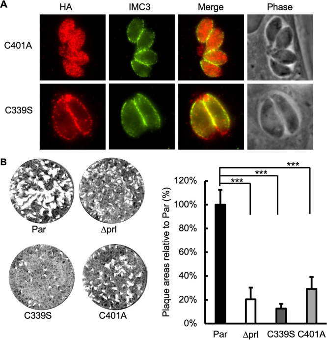 FIG 4