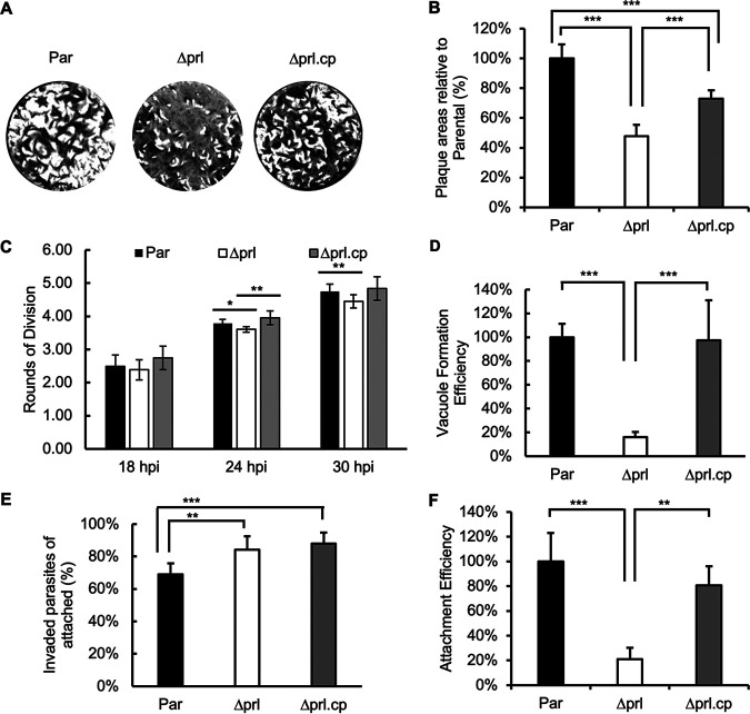 FIG 3