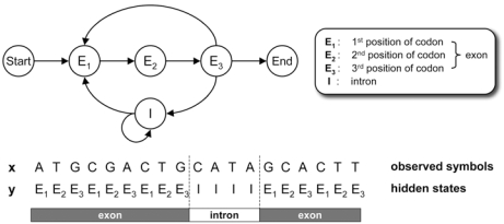 Fig. (1)