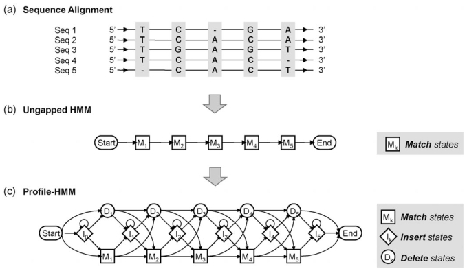 Fig. (2)