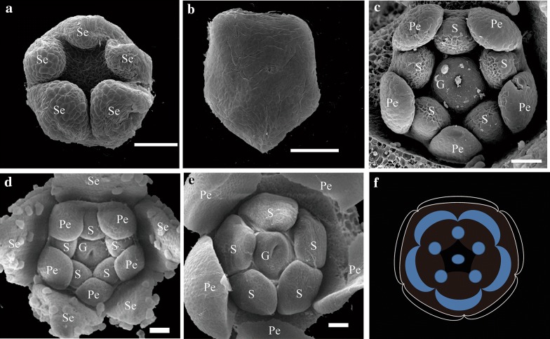 Fig. 2