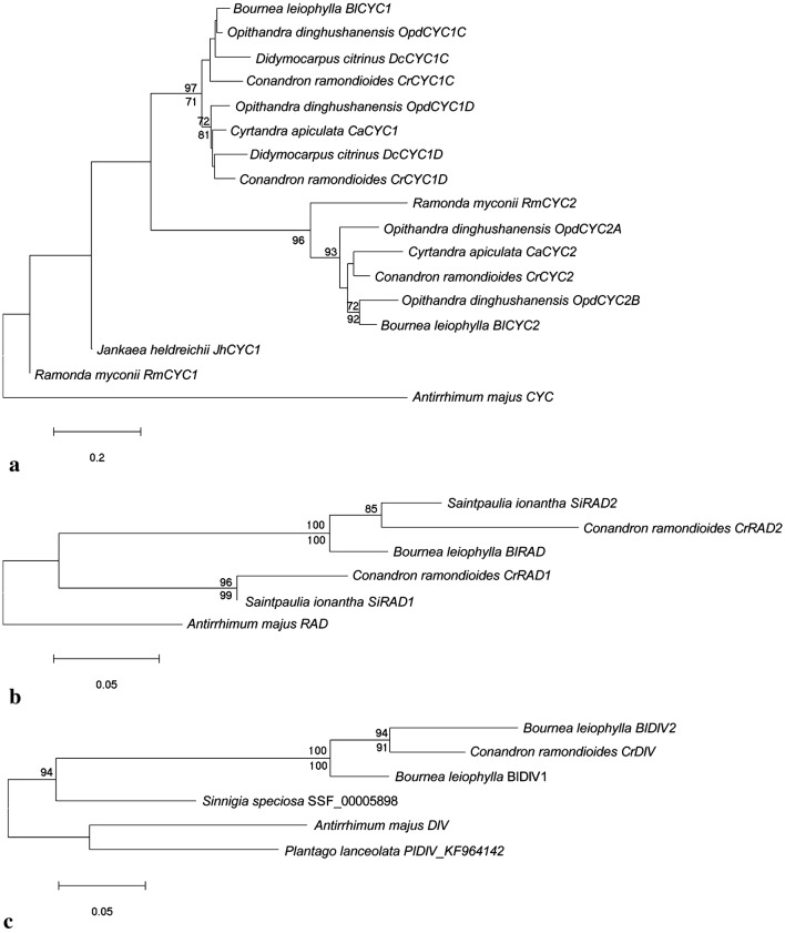 Fig. 4