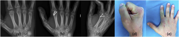 Fig. 5
