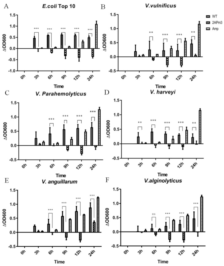 Figure 10