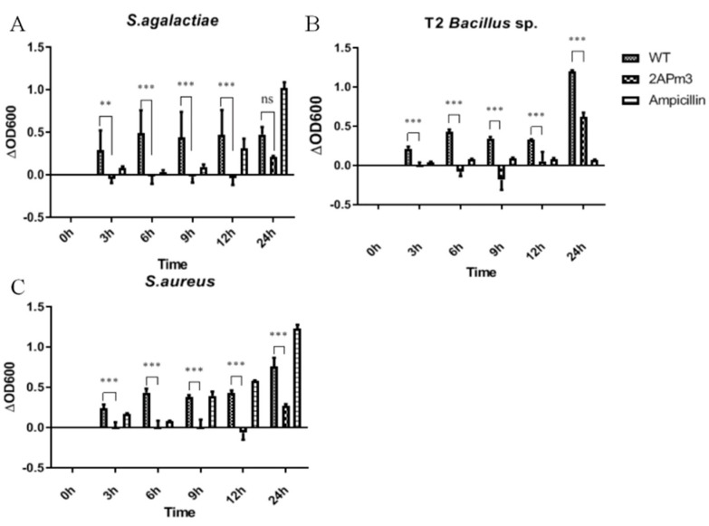 Figure 11