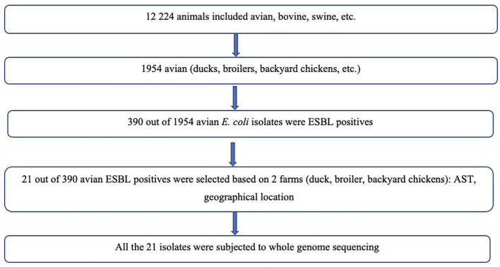 Figure 1