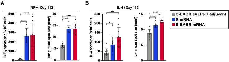 Figure 5