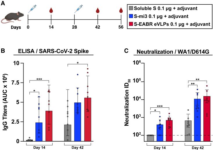 Figure 2