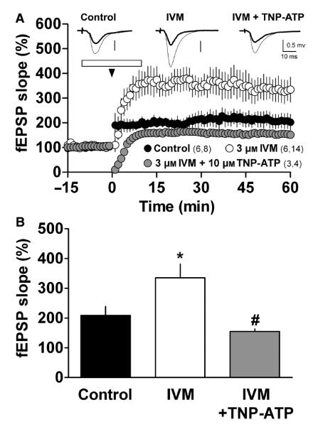 Fig. 6