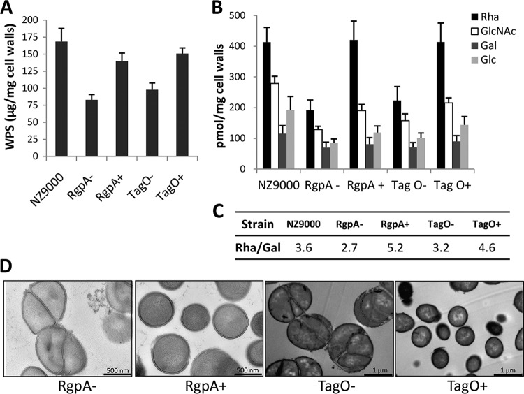 FIG 6 