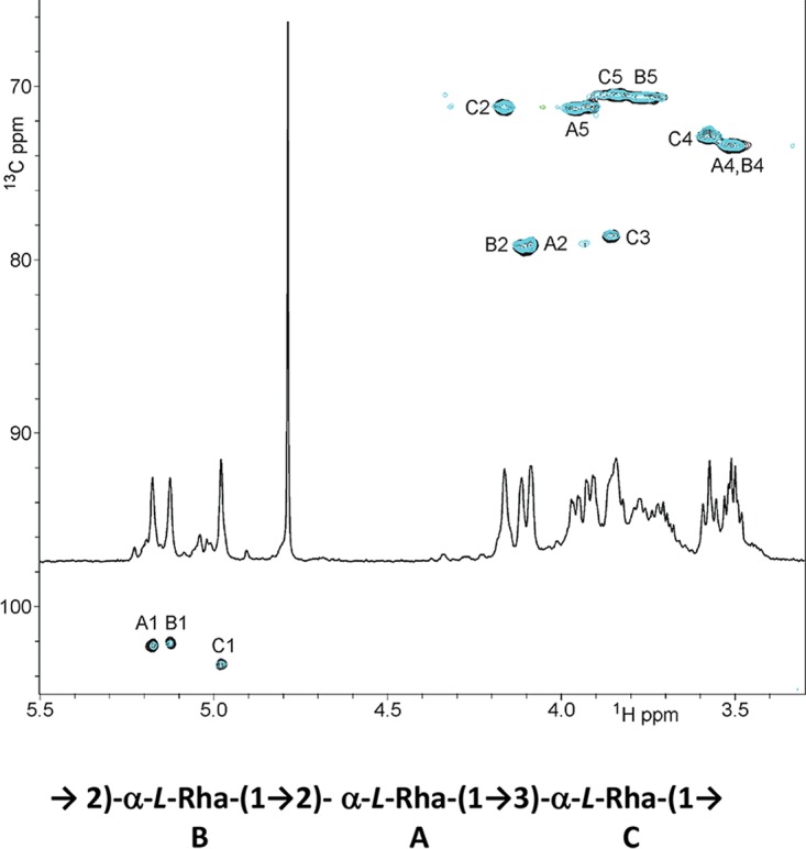 FIG 2 