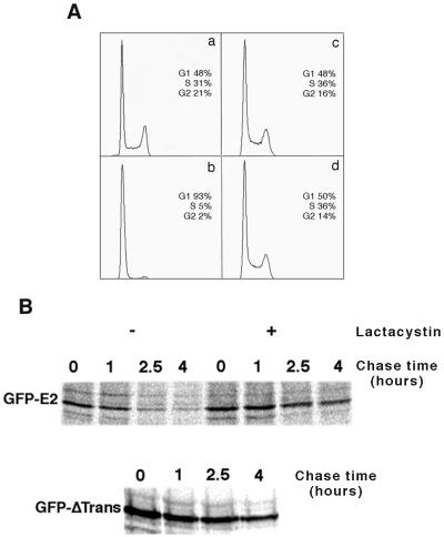 FIG. 5