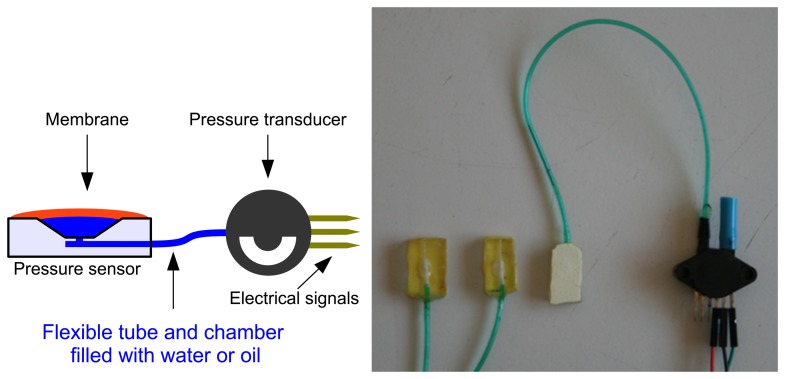 Figure 3.