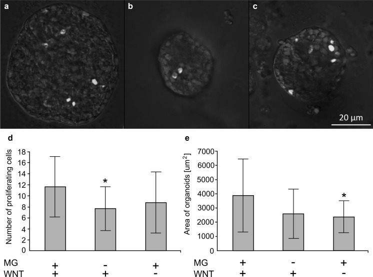 Fig. 6