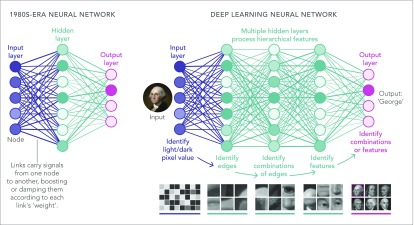 graphic file with name pnas.1821594116fig02.jpg