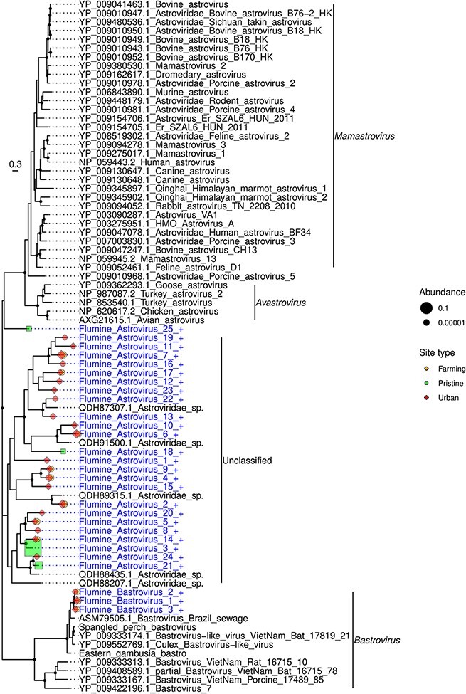 Figure 4.