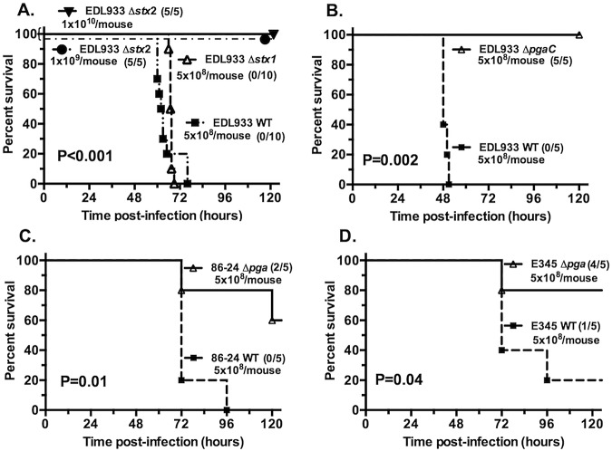 FIG 3 