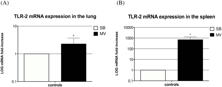 Fig 10