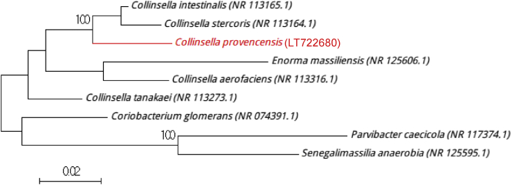 Fig. 1