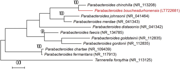 Fig. 2