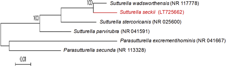 Fig. 3