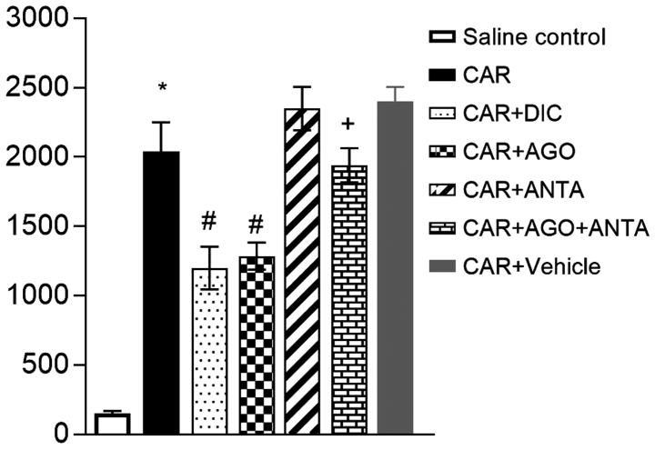 Figure 5.