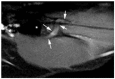 Figure 13.
