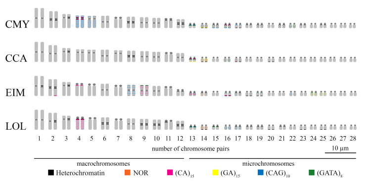 Figure 2 - 