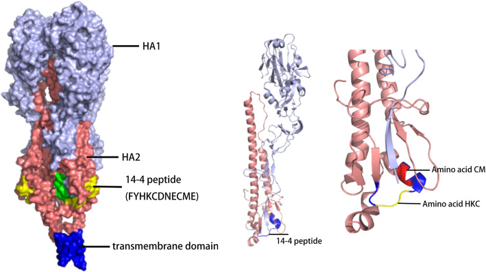 Fig. 3