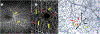 Fig 6.