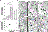 Fig 7.