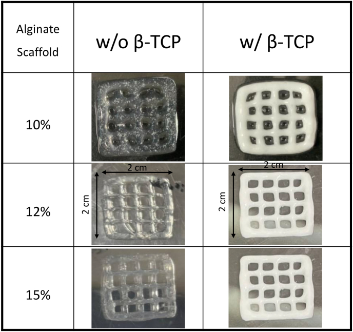 Fig. 2