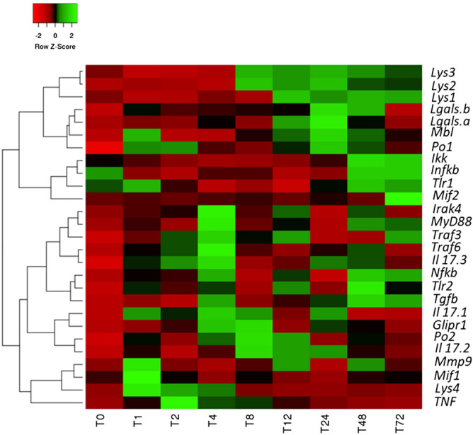 Figure 6