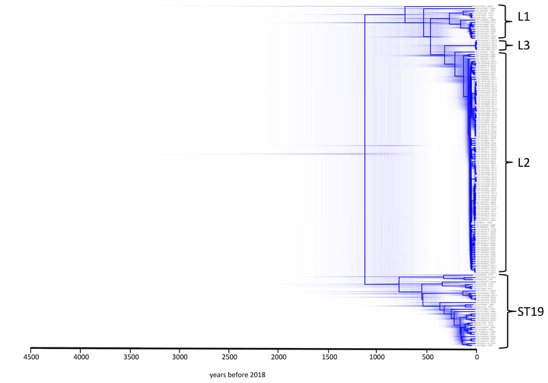 Extended Data Fig. 8