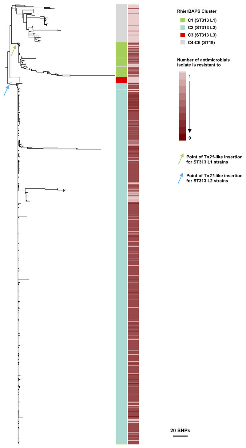 Extended Data Fig. 7