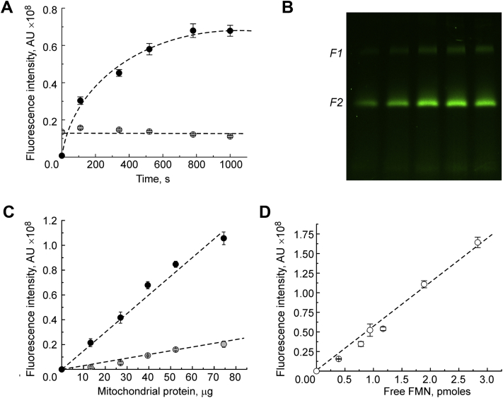 Figure 2